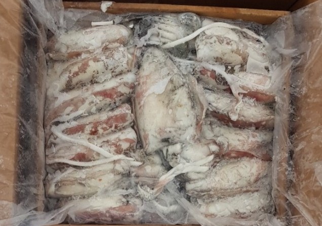 Calamars emballés